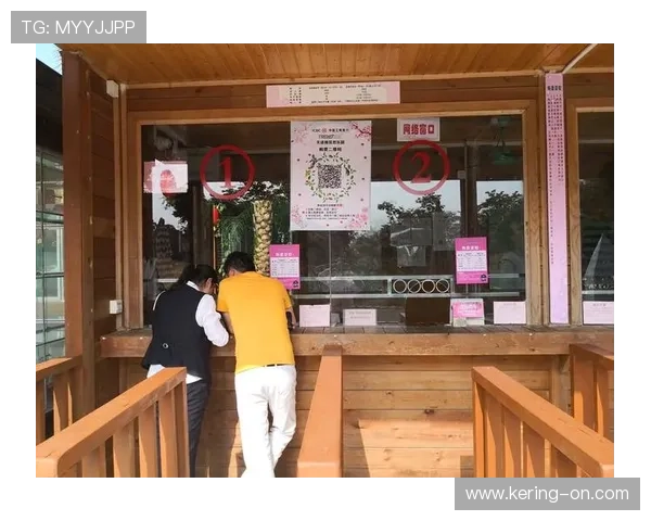 十五运会全部售票项目上线，构建线上线下协同购票网络